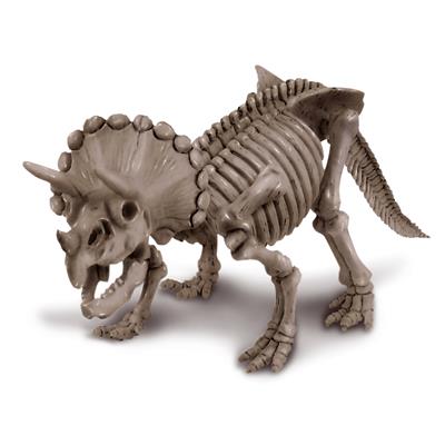Graaf Je Dino Op • Triceratops