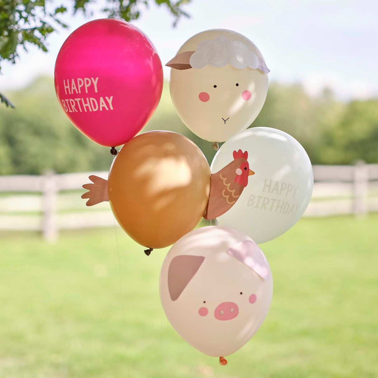 farm friends ballonnen set ginger ray